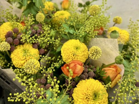 ご来店頂いております